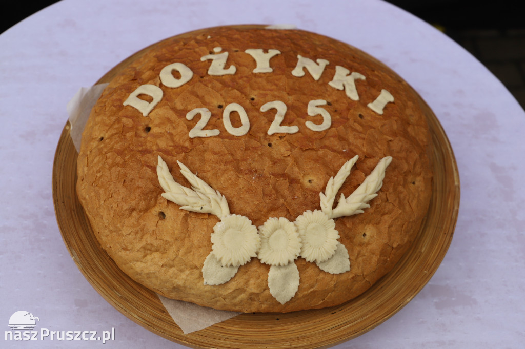 Dożynki w Cedrach Wielkich - 2025