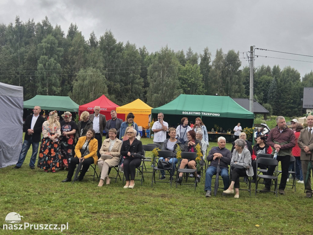 Dożynki gminy Przywidz 2025