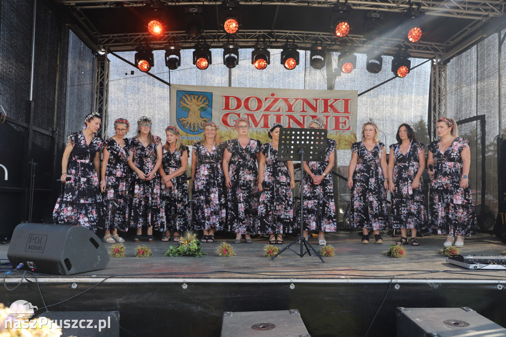Dożynki gminy Suchy Dąb - Koźliny 2025