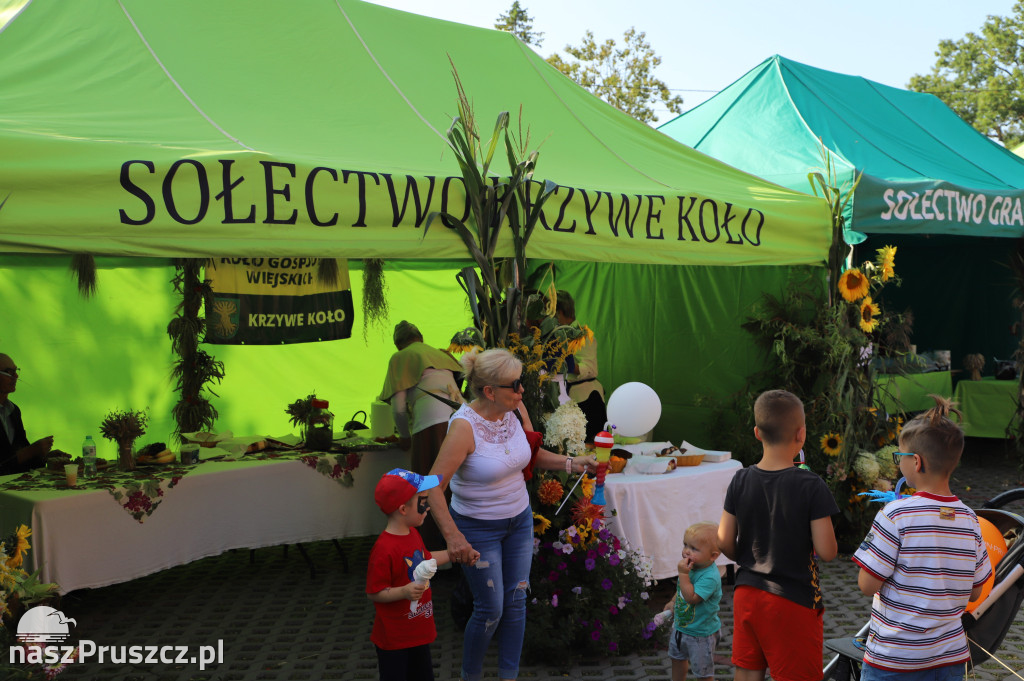 Dożynki gminy Suchy Dąb - Koźliny 2025
