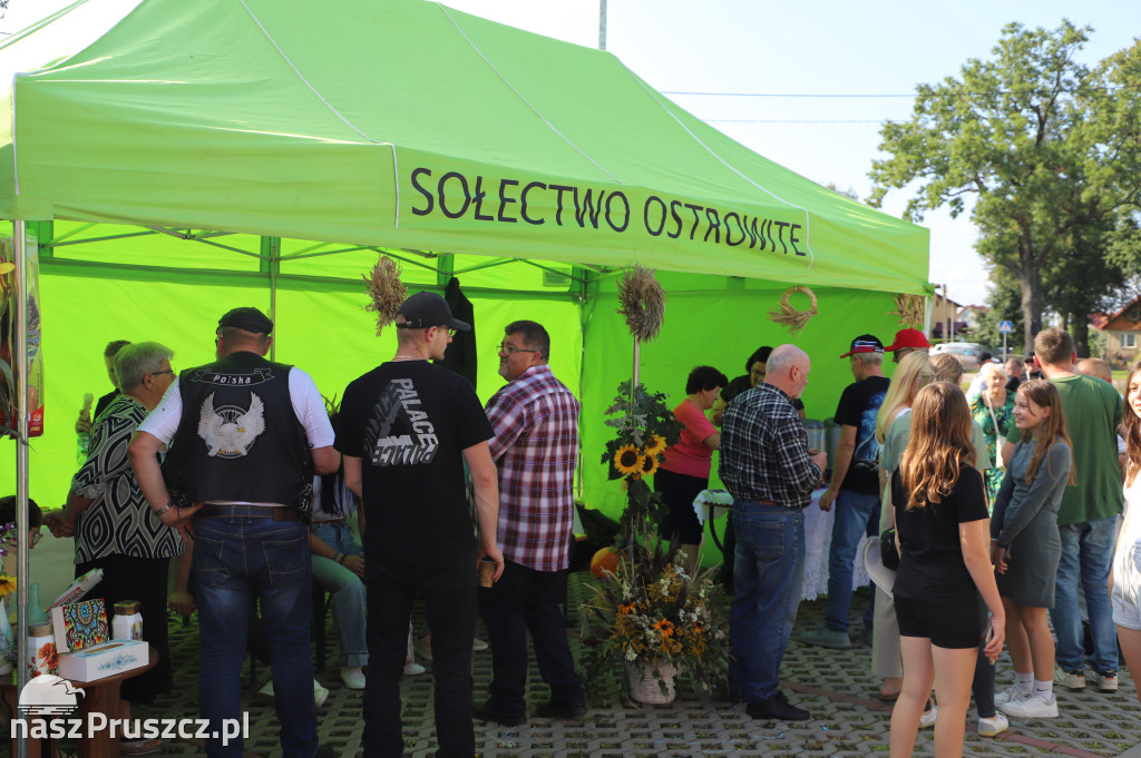 Dożynki gminy Suchy Dąb - Koźliny 2025