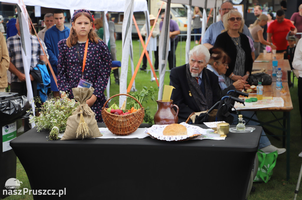 Dożynki gminy Pruszcz Gdański - Cieplewo