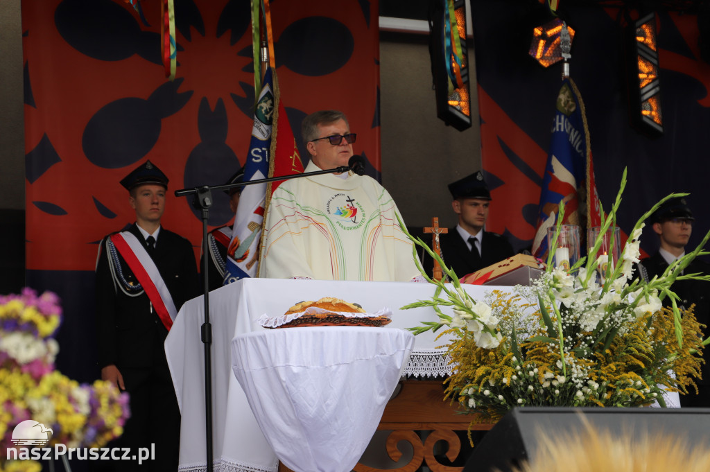 Dożynki gminy Pruszcz Gdański - Cieplewo