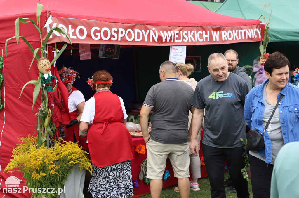 Dożynki gminy Pruszcz Gdański - Cieplewo