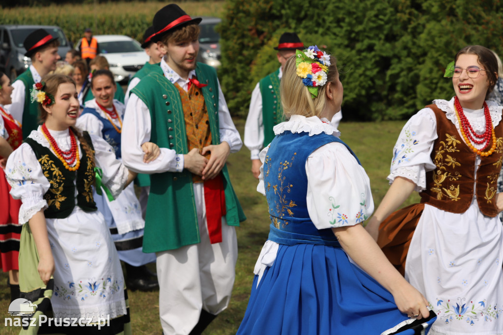 Wojewódzkie dożynki w Pszczółkach - 1 dzień