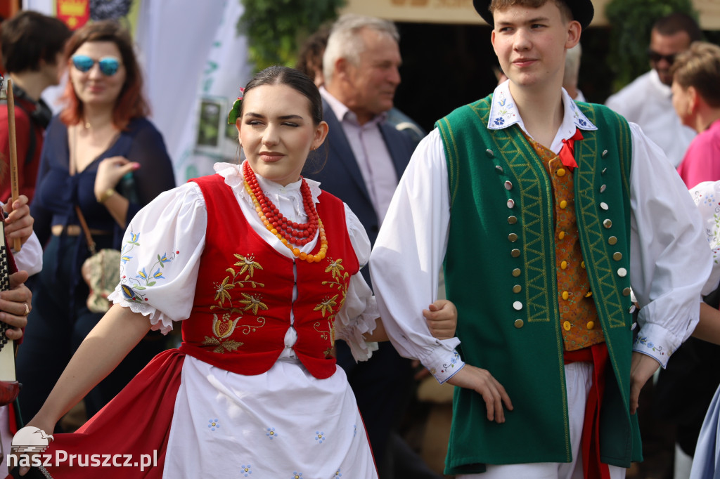 Wojewódzkie dożynki w Pszczółkach - 1 dzień