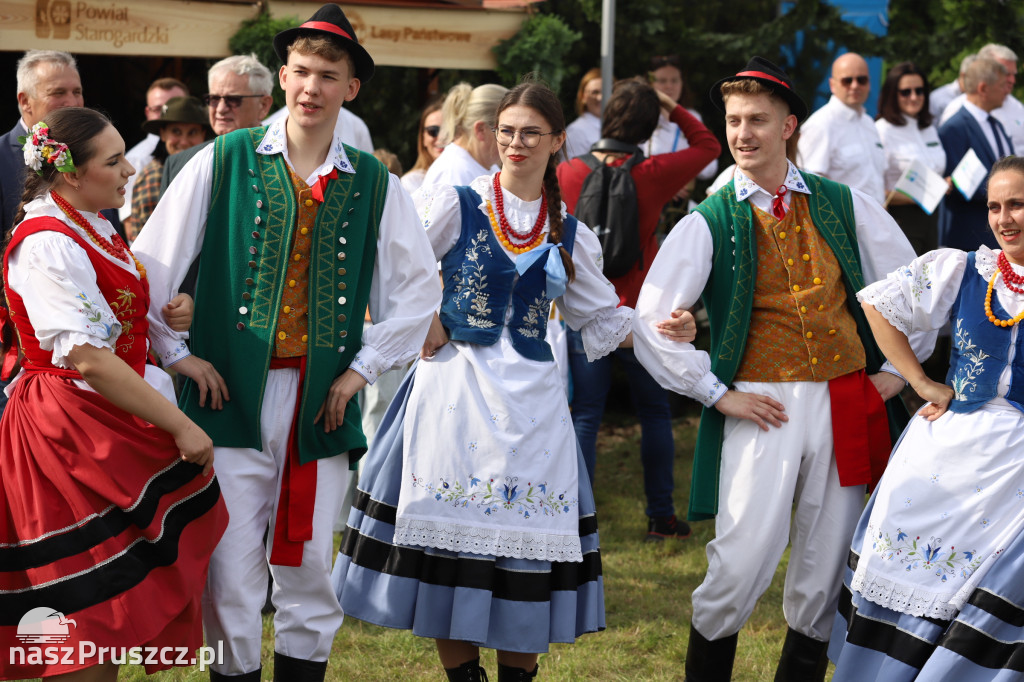 Wojewódzkie dożynki w Pszczółkach - 1 dzień