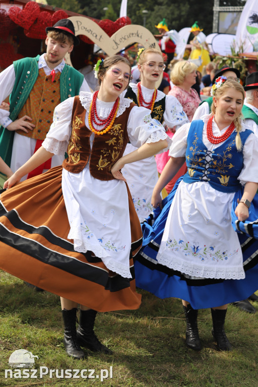 Wojewódzkie dożynki w Pszczółkach - 1 dzień