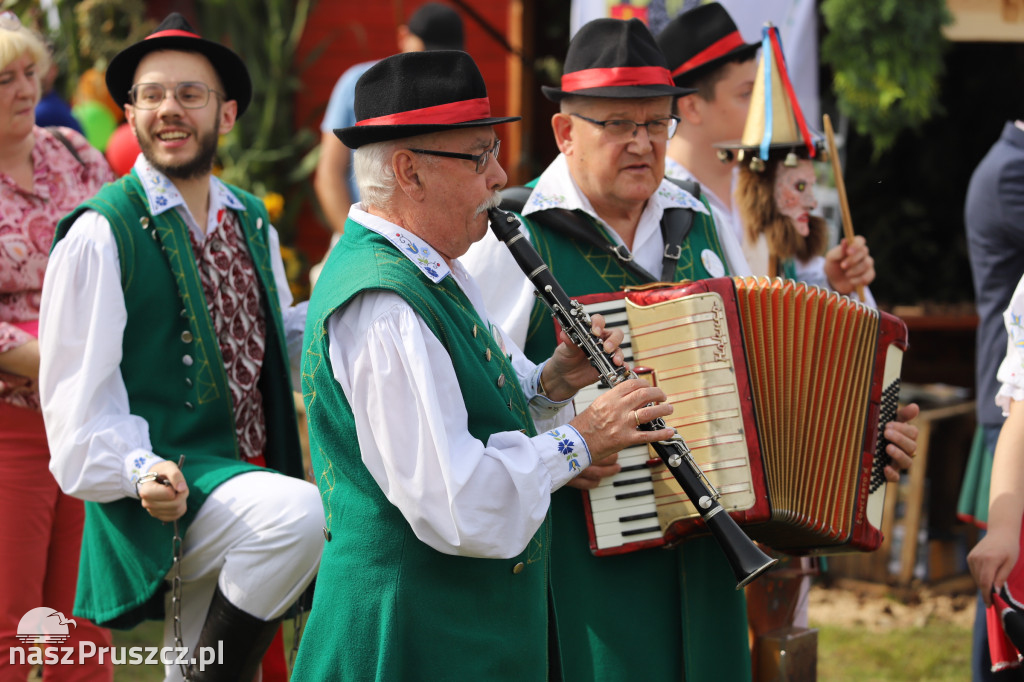 Wojewódzkie dożynki w Pszczółkach - 1 dzień