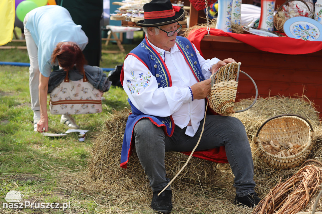 Wojewódzkie dożynki w Pszczółkach - 1 dzień