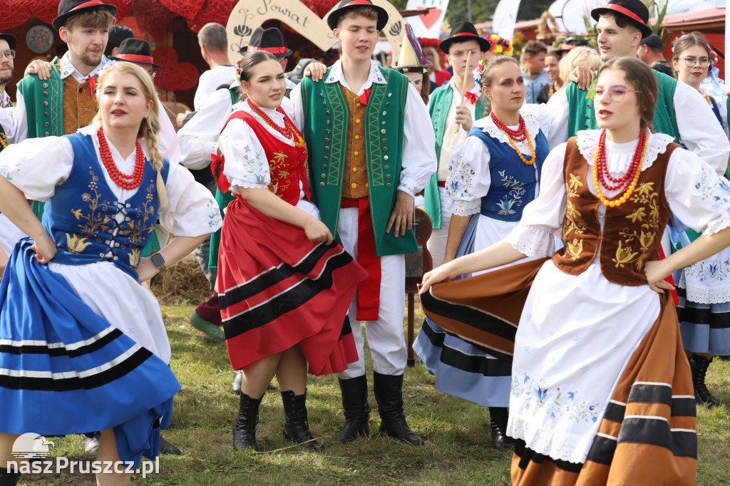 Wojewódzkie dożynki w Pszczółkach - 1 dzień