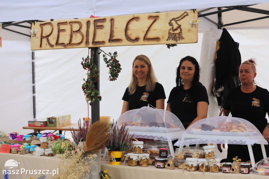 Wojewódzkie dożynki w Pszczółkach - 1 dzień
