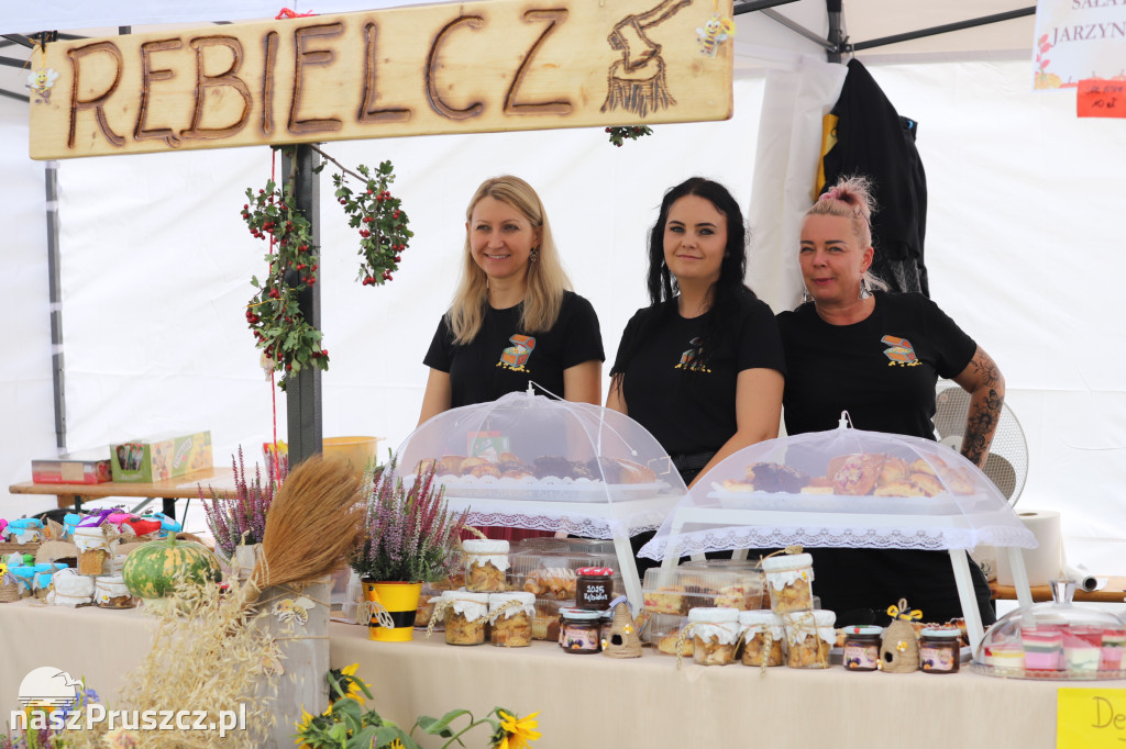 Wojewódzkie dożynki w Pszczółkach - 1 dzień