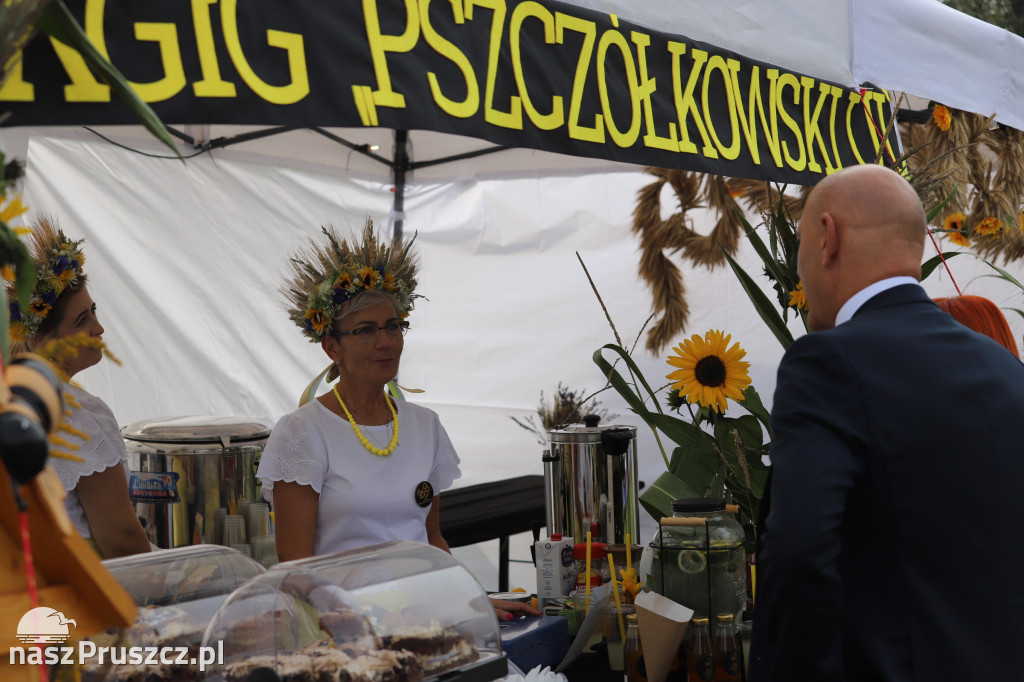 Wojewódzkie dożynki w Pszczółkach - 1 dzień