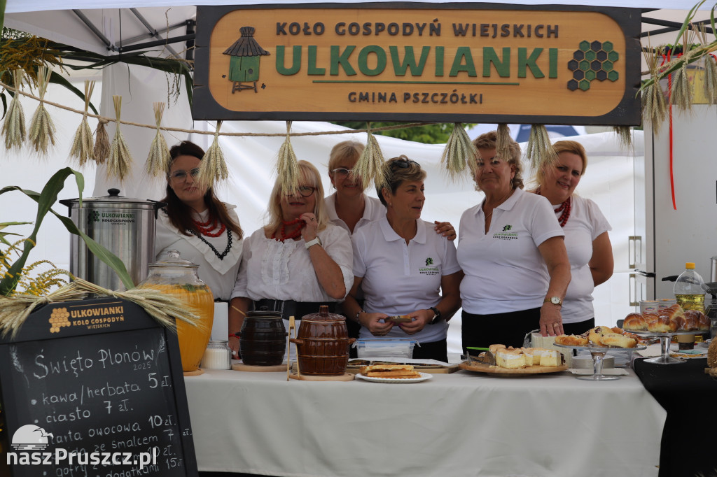 Wojewódzkie dożynki w Pszczółkach - 1 dzień