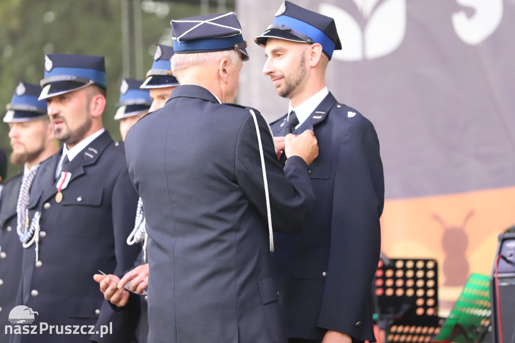 Wojewódzkie dożynki w Pszczółkach - 1 dzień