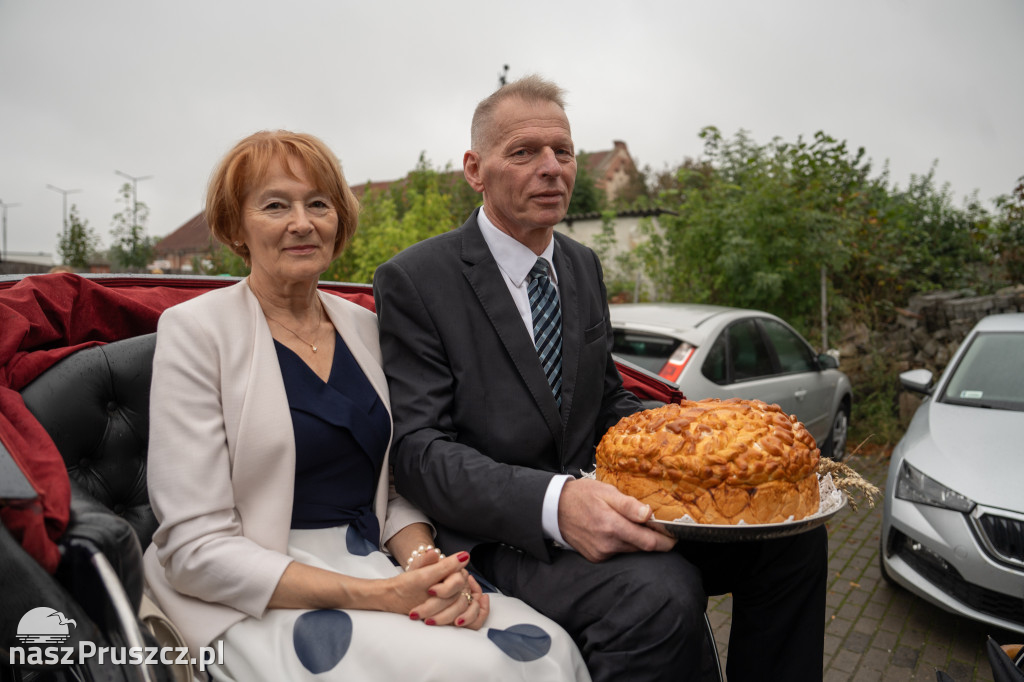 Wojewódzkie dożynki - Pszczółki - dzień drugi
