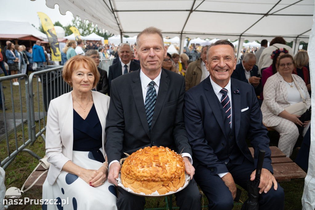 Wojewódzkie dożynki - Pszczółki - dzień drugi