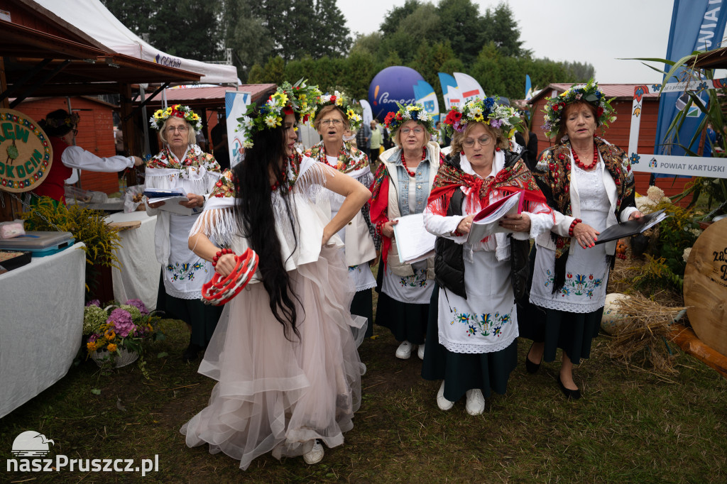Wojewódzkie dożynki - Pszczółki - dzień drugi