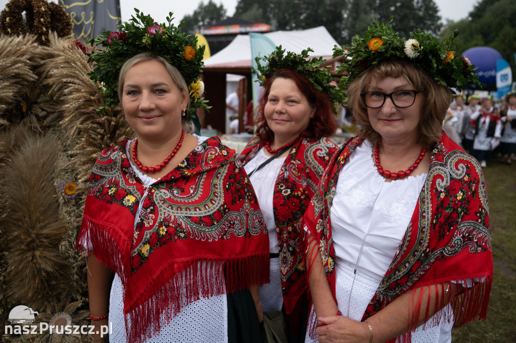 Wojewódzkie dożynki - Pszczółki - dzień drugi