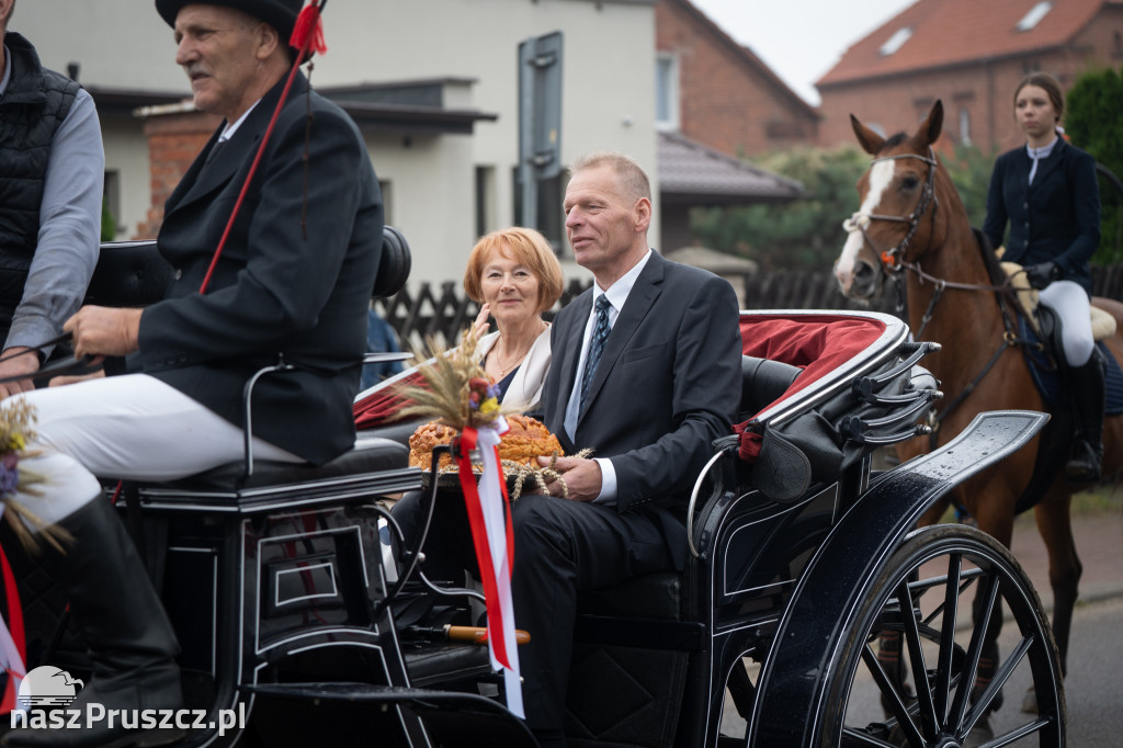 Wojewódzkie dożynki - Pszczółki - dzień drugi