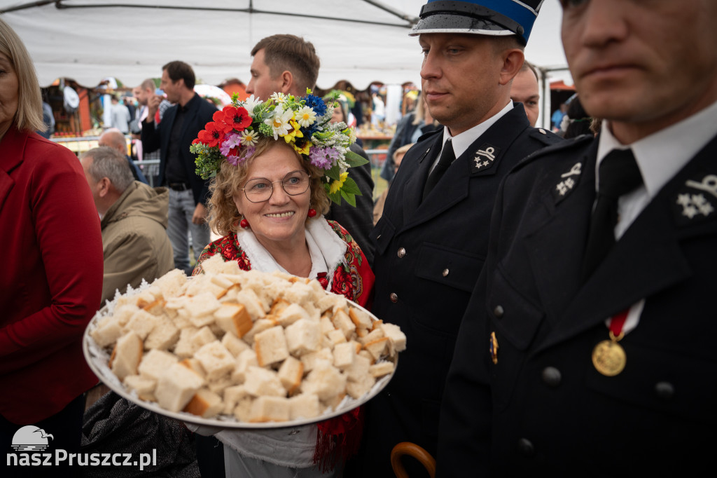 Wojewódzkie dożynki - Pszczółki - dzień drugi
