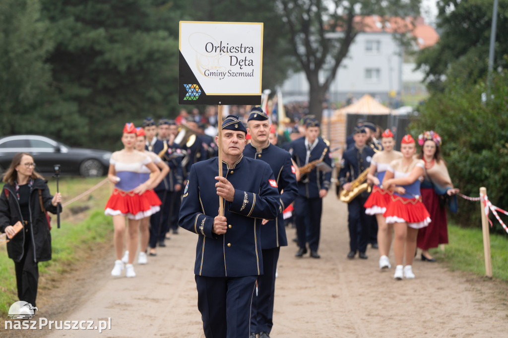 Wojewódzkie dożynki - Pszczółki - dzień drugi