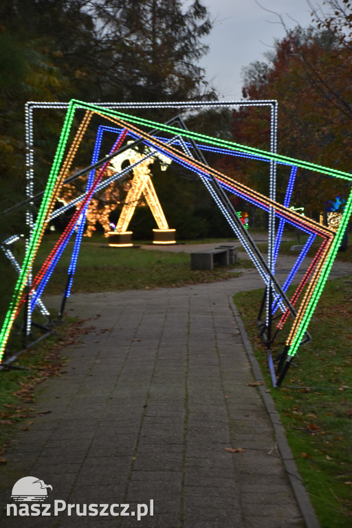 Lumina Park w Pruszczu Gdańskim - 2025