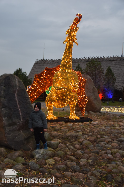 Lumina Park w Pruszczu Gdańskim - 2025