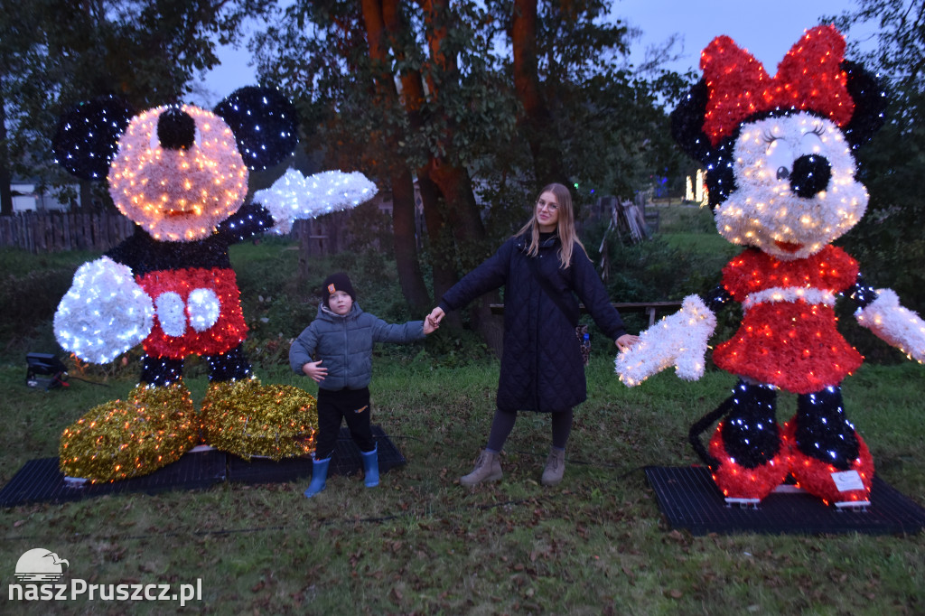 Lumina Park w Pruszczu Gdańskim - 2025