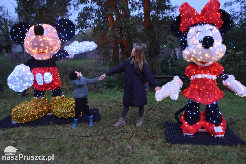 Lumina Park w Pruszczu Gdańskim - 2025