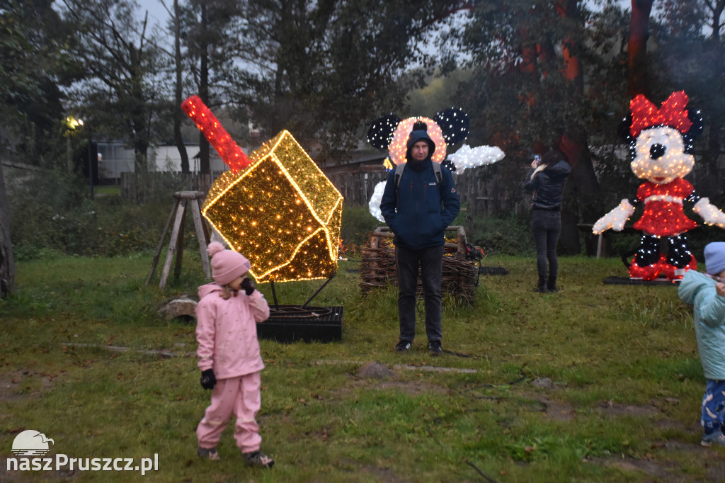 Lumina Park w Pruszczu Gdańskim - 2025