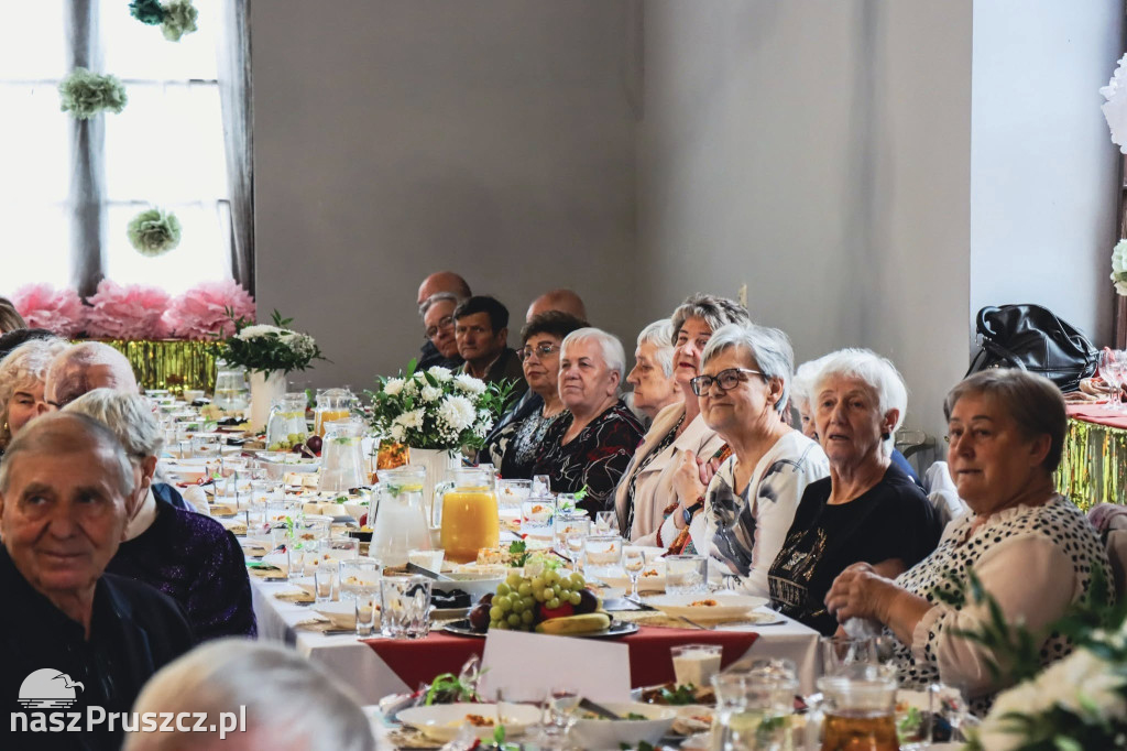 Seniorzy świętowali w Koźlinach
