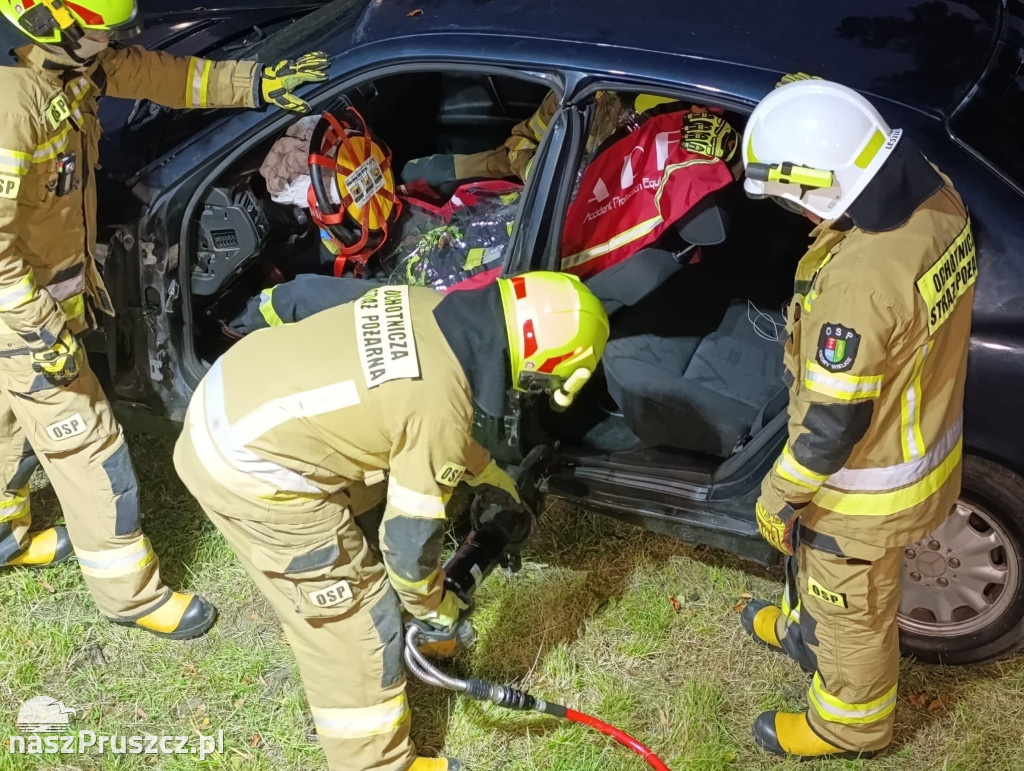 Rodzinny festyn w Cedrach Wielkich