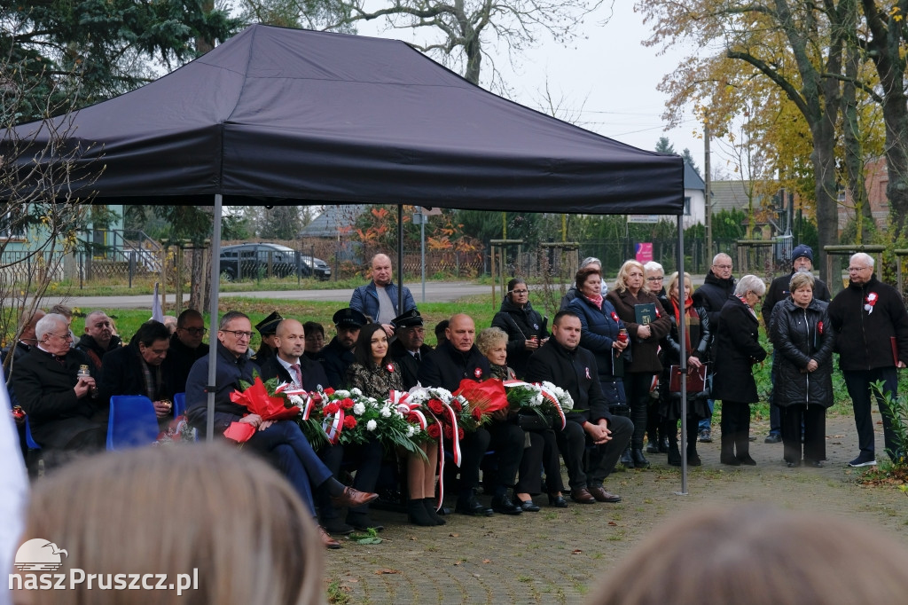 Święto Niepodległości - gmina Cedry Wielkie 2025