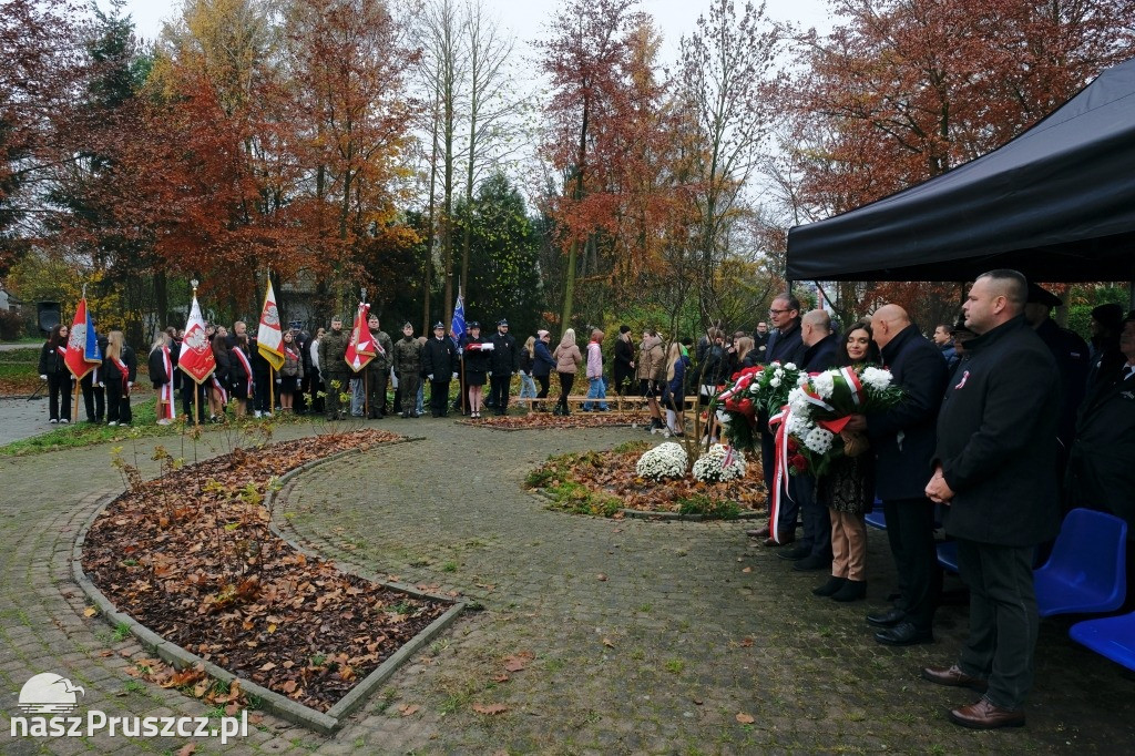 Święto Niepodległości - gmina Cedry Wielkie 2025