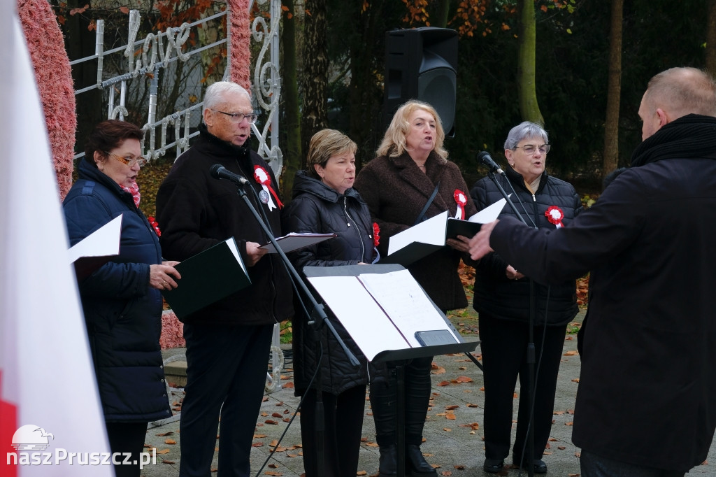 Święto Niepodległości - gmina Cedry Wielkie 2025
