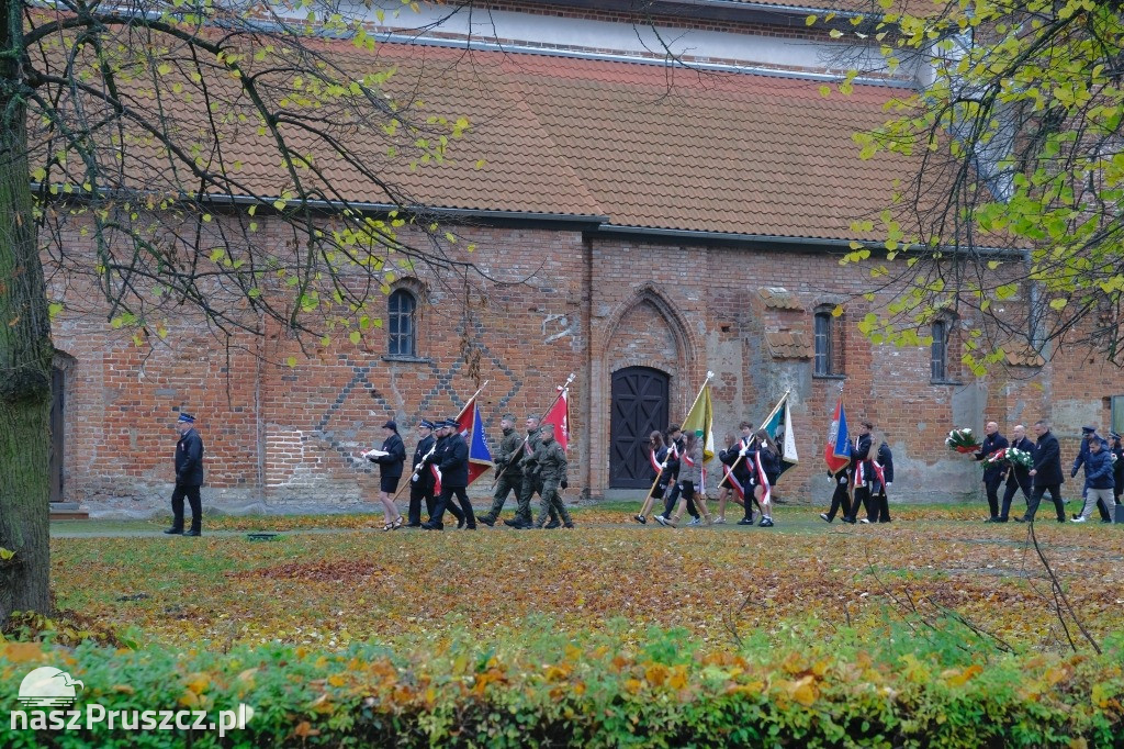 Święto Niepodległości - gmina Cedry Wielkie 2025