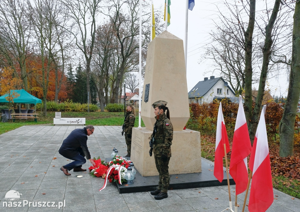 Święto Niepodległości - gmina Cedry Wielkie 2025