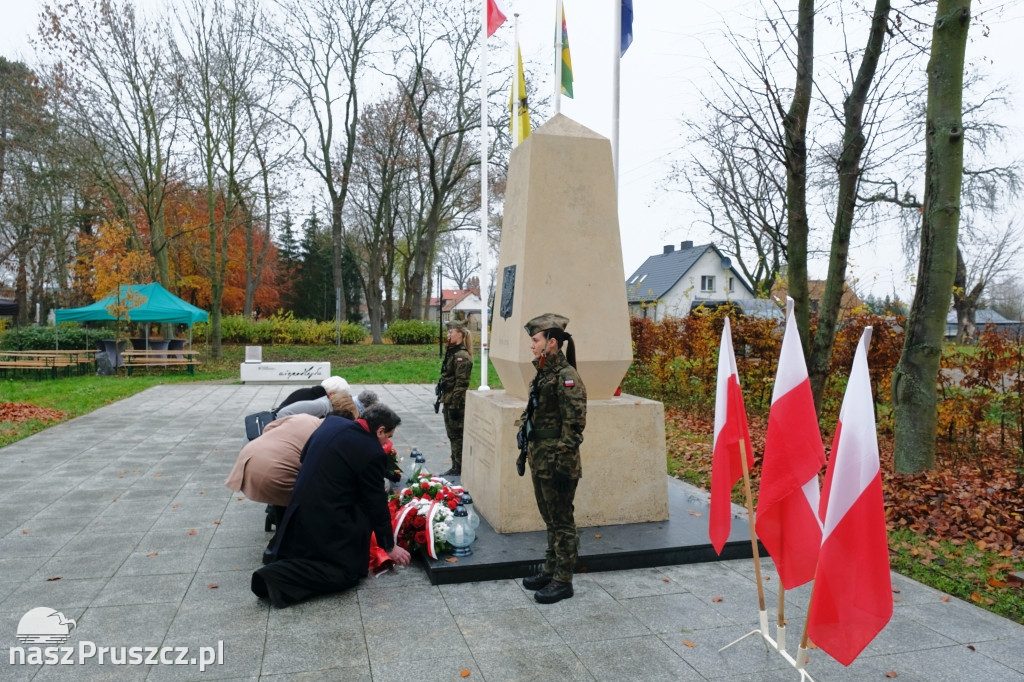 Święto Niepodległości - gmina Cedry Wielkie 2025