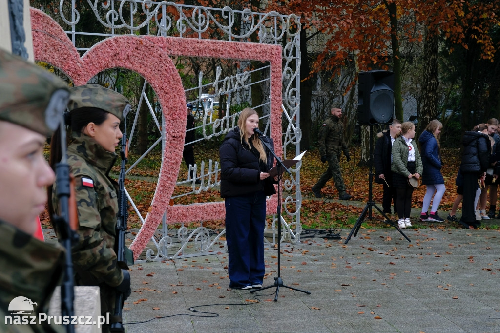 Święto Niepodległości - gmina Cedry Wielkie 2025
