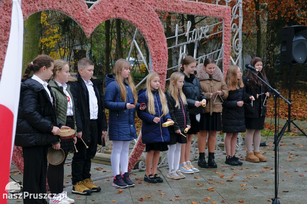 Święto Niepodległości - gmina Cedry Wielkie 2025