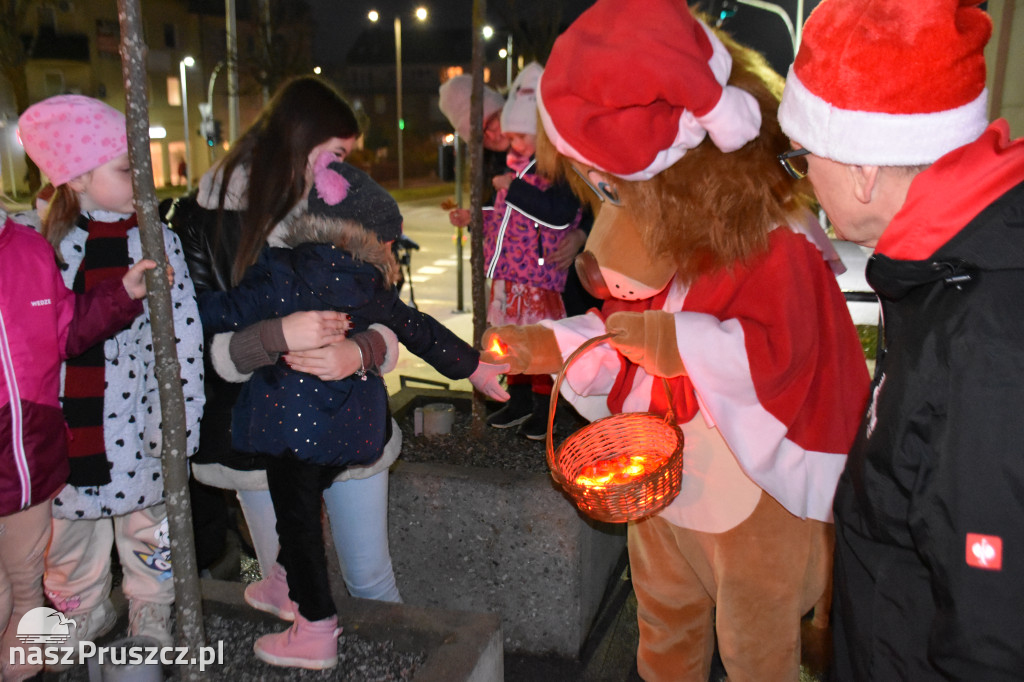 Choinka Pruszcz Gdański 2025
