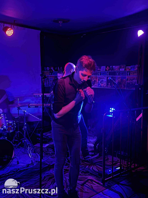 Spirit in the Forest - Pszczółki