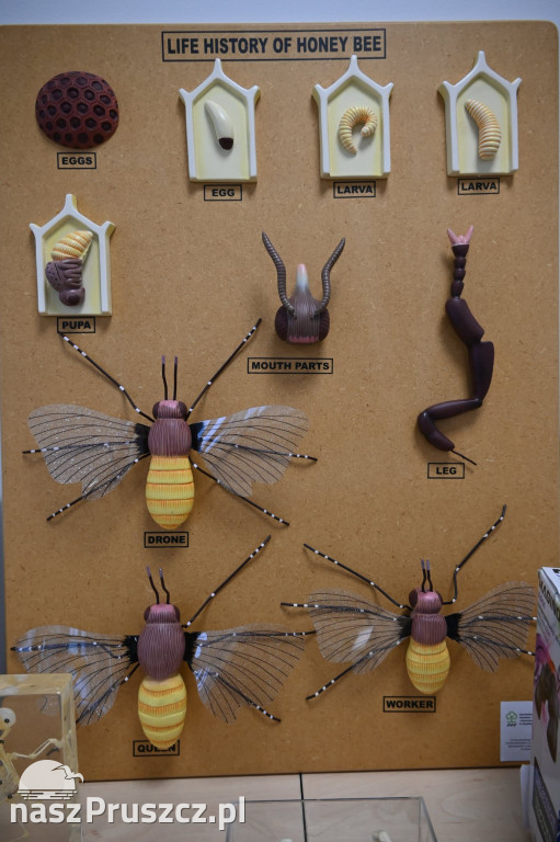 Nowy sprzęt edukacyjny dla szkoły  w Różynach