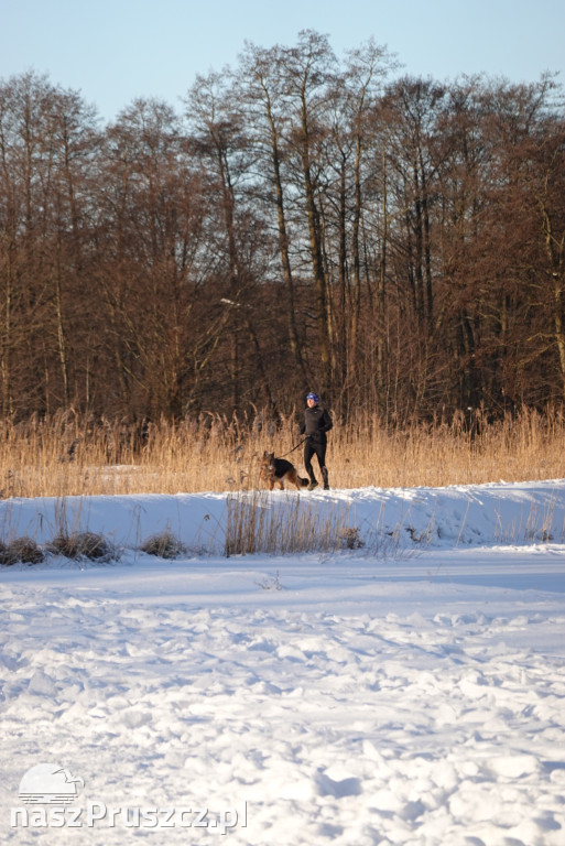 Zimowy parkrun na Faktorii