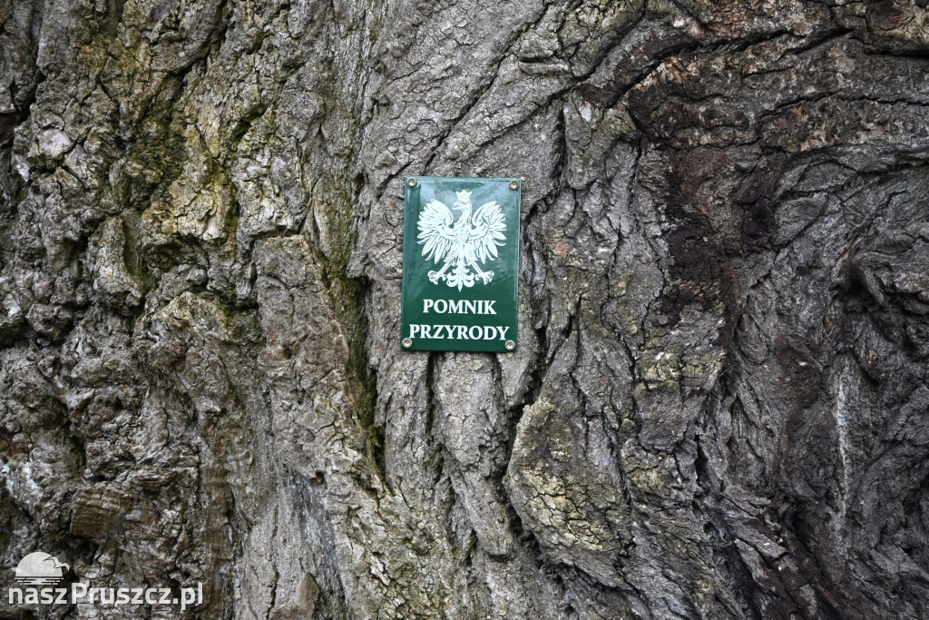 Kolnik powitał wiosnę. Mieszkańcy spotkali się przy „Walentynie”