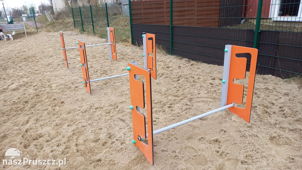 Wiosenny przegląd placów zabaw w Pruszczu Gdańskim