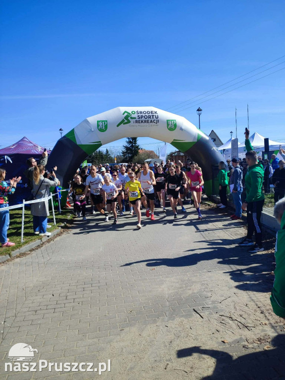 XI Bieg Żuławski w Rotmance