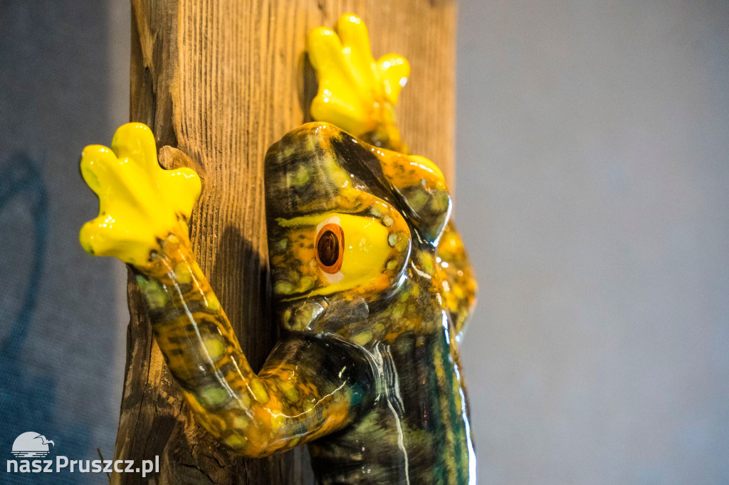 W OKSiBP otwarto wystawę ceramiki Renaty Jelińskiej